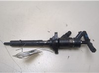  Форсунка топливная Peugeot 407 20352933 #1