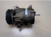  Компрессор кондиционера Renault Scenic 1996-2002 20352970 #1