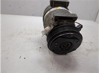  Компрессор кондиционера Renault Scenic 1996-2002 20352970 #7