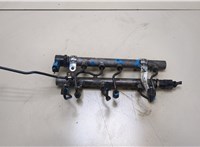  Рампа (рейка) топливная Mercedes ML W164 2005-2011 20353073 #1