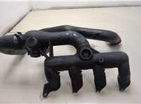  Коллектор впускной Opel Vivaro 2001-2014 20353283 #1