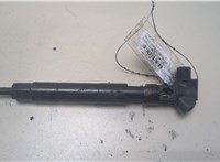 A6510702887 Форсунка топливная Mercedes E W212 2013-2016 20354053 #1