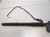 51247332696 Амортизатор крышки багажника BMW X5 E70 2007-2013 20354658 #3