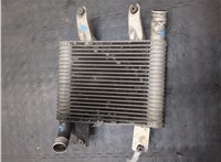281904X70X Радиатор интеркулера Hyundai Terracan 20354717 #4