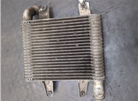 281904X70X Радиатор интеркулера Hyundai Terracan 20354717 #5