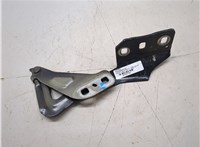 DS7Z16797A Петля капота Ford Fusion 2017-2020 USA 20354748 #4