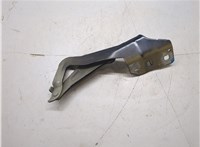 DS7Z16797A Петля капота Ford Fusion 2017-2020 USA 20354748 #5