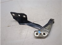 DS7Z16796A Петля капота Ford Fusion 2017-2020 USA 20354749 #4