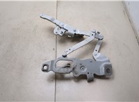  Петля капота BMW 7 F01 2008-2015 20355016 #3