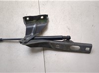  Петля капота Audi Q5 2008-2017 20355089 #3