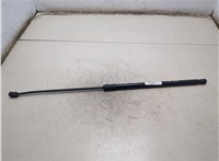 5NA823359A Амортизатор капота Volkswagen Tiguan 2016-2020 20355230 #3