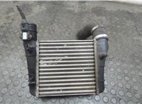  Радиатор интеркулера Audi A4 (B7) 2004-2009 20356250 #2