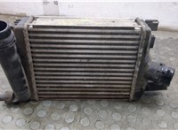  Радиатор интеркулера Dacia Duster 2010-2017 20356256 #2