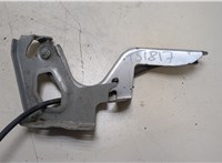  Петля капота Toyota RAV 4 2013-2015 20356951 #1
