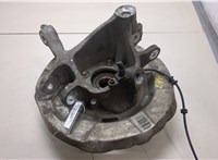 33006867806, 6867806, 33326796497, 6796497, 34216775267 Ступица (кулак, цапфа) BMW 7 F01 2008-2015 20357084 #1