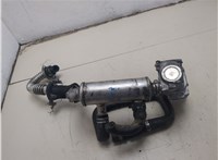  Клапан рециркуляции газов (EGR) Ford Focus 2 2005-2008 20357293 #8