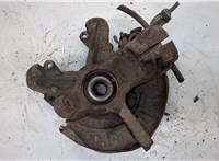  Ступица (кулак, цапфа) Skoda Fabia 2007-2010 20357493 #1