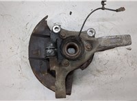  Ступица (кулак, цапфа) Skoda SuperB 2001-2008 20357602 #1
