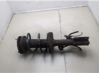  Амортизатор подвески Toyota Corolla Verso 2004-2009 20357711 #1