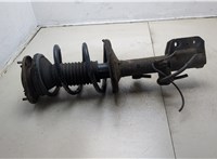  Амортизатор подвески Toyota Corolla Verso 2004-2009 20357986 #1