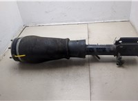  Амортизатор подвески Land Rover Range Rover 3 (LM) 2002-2012 20358039 #1