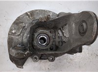  Ступица (кулак, цапфа) BMW X6 E71 2007-2014 20358095 #1