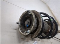 31311096852, 1096852 Амортизатор подвески BMW 3 E46 1998-2006 20358377 #6