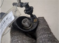 A6420701387, A6420700587, A6420701987 Форсунка топливная Mercedes CLS C219 2004-2010 20358955 #2