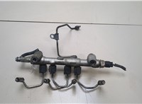  Рампа (рейка) топливная Nissan Navara 2005-2015 20359072 #1