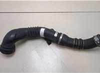 11617810308 Патрубок интеркулера BMW 1 E87 2004-2011 20359598 #1