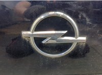  Крышка (дверь) багажника Opel Signum 20360300 #9