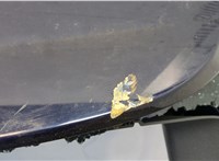  Крышка (дверь) багажника Opel Signum 20360300 #14