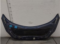  Капот Renault Scenic 2003-2009 20362413 #8