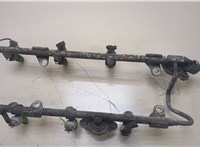  Форсунка топливная Nissan Murano 2008-2015 20362763 #3