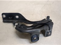  Петля капота Nissan Murano 2010-2015 20362773 #1