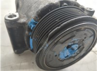  Компрессор кондиционера Mercedes CLS C219 2004-2010 20362805 #11