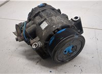  Компрессор кондиционера Mercedes CLS C219 2004-2010 20362805 #14