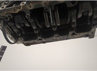 03L100104GX Блок цилиндров (Шорт блок) Volkswagen Crafter 2006-2016 20362868 #6