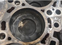 03L100104GX Блок цилиндров (Шорт блок) Volkswagen Crafter 2006-2016 20362868 #10