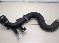  Патрубок интеркулера Volkswagen Crafter 2006-2016 20362870 #1