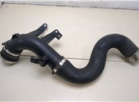  Патрубок интеркулера Volkswagen Crafter 2006-2016 20362870 #2