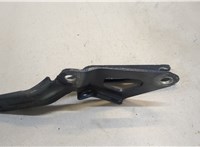  Петля капота Volkswagen Tiguan 2016-2020 20362908 #2
