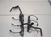  Рампа (рейка) топливная Audi A6 (C6) 2004-2011 20363109 #1