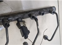  Рампа (рейка) топливная Audi A6 (C6) 2004-2011 20363109 #3
