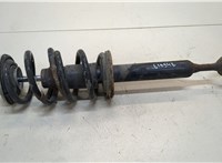  Амортизатор подвески Audi A6 (C5) 1997-2005 20363191 #1