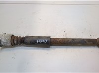  Амортизатор подвески Audi A4 (B6) 2000-2006 20363241 #1