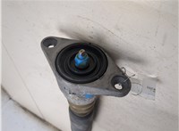 8E0513036AE Амортизатор подвески Audi A4 (B6) 2000-2006 20363290 #5