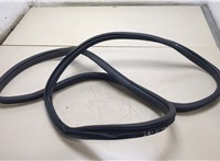  Уплотнитель Hyundai Sonata LF 2014-2019 20363333 #1