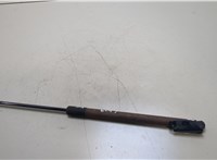  Амортизатор крышки багажника Nissan Murano 2008-2015 20363485 #1