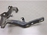  Петля капота Hyundai Equus 2013-2016 20363589 #1